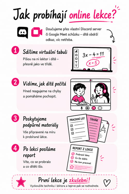 Jak probíhají online lekce?